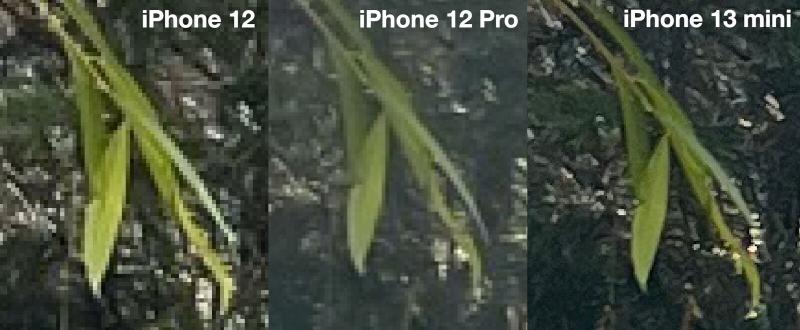 iPhone 13 mini review: Hard crop