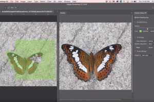 Adobe Photoshop CC review: Popular features reach new levels for a streamlined workflow
